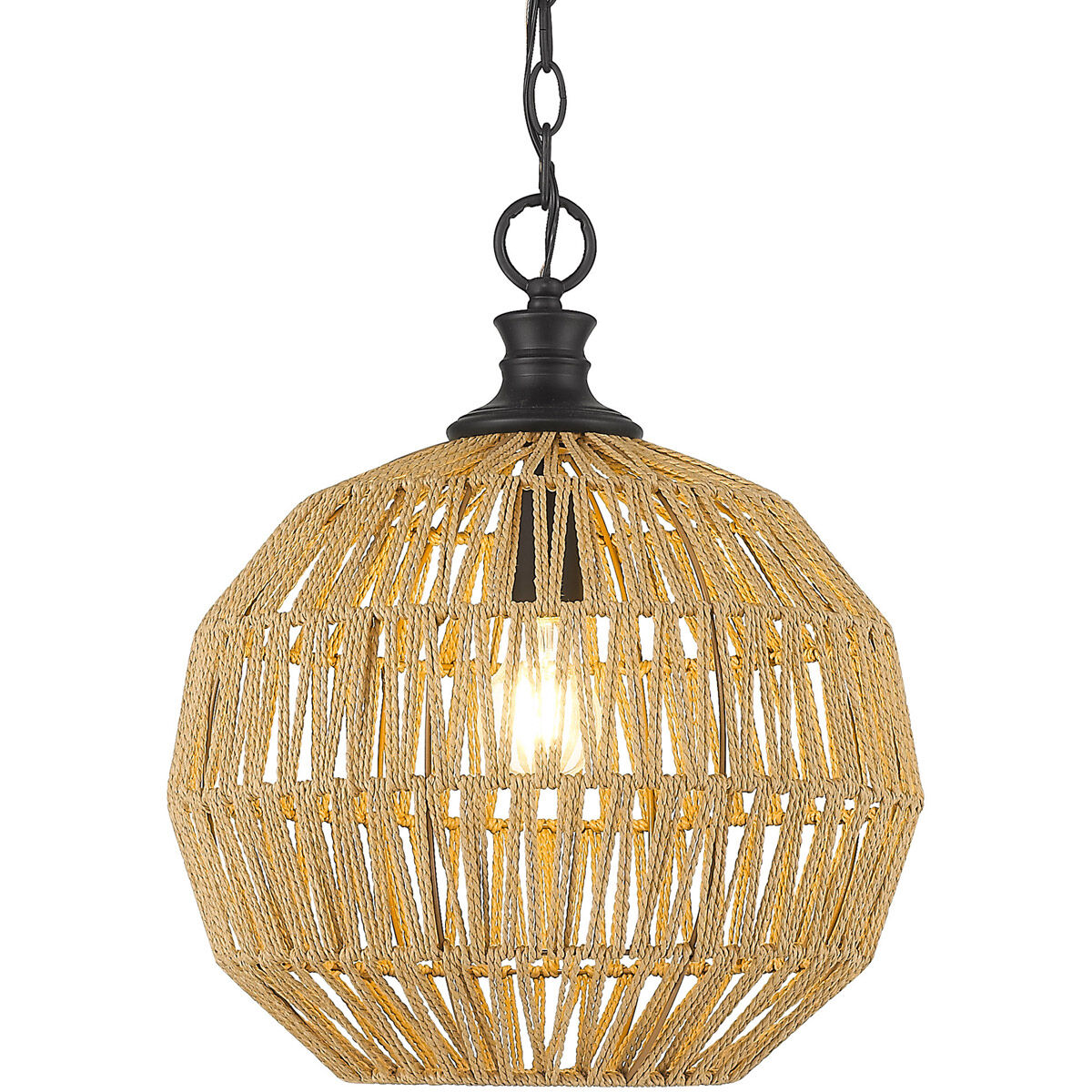 Golden Lighting 6933-M BLK-NR Florence 1 Light 14 inch Matte
