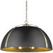 Aldrich Pendant Ceiling Light in Aged Brass, Matte Black