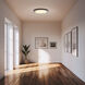 Ondulada LED 19.75 inch Sand Black Flush Mount Ceiling Light in Smoky Acrylic
