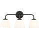 Dorinda 3 Light 24.5 inch Matte Black Vanity Light Wall Light