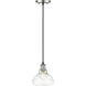 Yep Carver 1 Light 7.5 inch Chrome Pendant Ceiling Light in Clear Glass