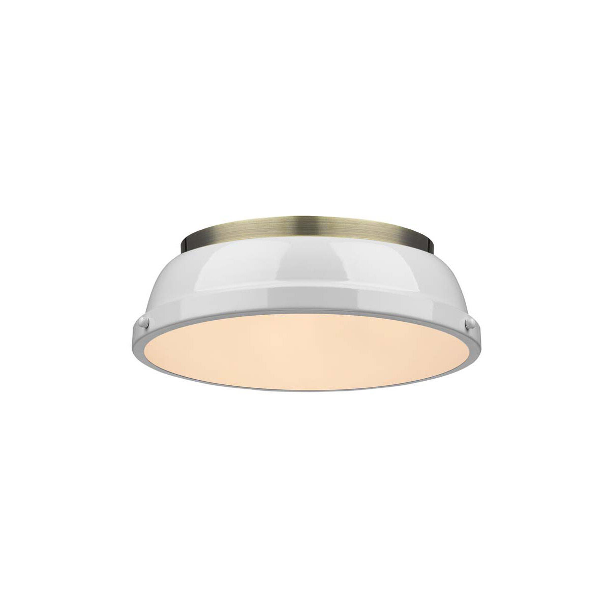 Golden lighting duncan flush shop mount