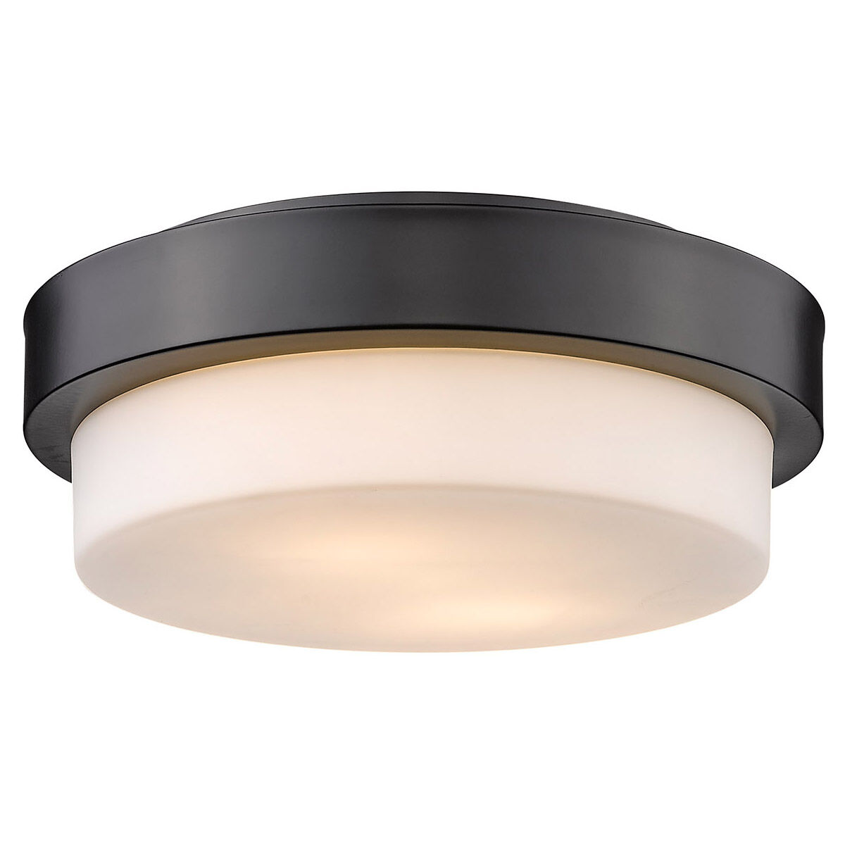 Multi Family 2 Light 11 inch Matte Black Flush Mount Ceiling Light Damp