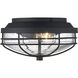 Seaport 2 Light 6.38 inch Natural Black Outdoor Ceiling