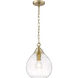 Ariella 1 Light 10 inch Brushed Champagne Bronze Mini Pendant Ceiling Light in Clear Hammered, Small