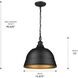 Rebel Pendant Ceiling Light