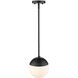 Dixon Pendant Ceiling Light in Matte Black, Small