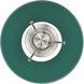 Orwell 1 Light 7.5 inch Pewter Pendant Ceiling Light in Pine Green, Small