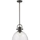 Yep Hines 1 Light 13.5 inch Rubbed Bronze Pendant Ceiling Light in Seeded Glass, Large