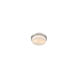 Multi-Family 2 Light 13 inch Pewter Flush Mount Ceiling Light, Damp