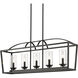 Mercer Island Light Ceiling Light in Clear Glass, Matte Black/Matte Black