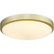 Gabi LED 12.25 inch Brushed Champagne Brass Flush Mount Ceiling Light
