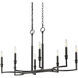 Ellyn Island Light Ceiling Light in Matte Black
