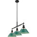 Yep Orwell Island Light Ceiling Light in Matte Black, Pine Green