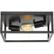 Wesson 2 Light 12 inch Matte Black Flush Mount Ceiling Light