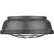 Bartlett 2 Light 14 inch Black Patina Flush Mount Ceiling Light, Damp