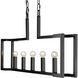 Kinsington Island Light Ceiling Light