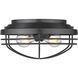 Seaport 2 Light 12 inch Matte Black Flush Mount Ceiling Light, Damp