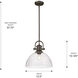 Yep Hines 1 Light 13.5 inch Rubbed Bronze Pendant Ceiling Light in Seeded Glass, Large