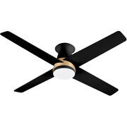 Indoor Ceiling Fans