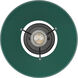 Orwell 1 Light 10 inch Matte Black Flush Mount Ceiling Light in Pine Green