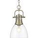 Yep Duncan 1 Light 8.88 inch Aged Brass Pendant Ceiling Light in Clear Glass