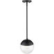 Dixon Pendant Ceiling Light in Matte Black, Small