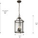 Payton Pendant Ceiling Light in Rubbed Bronze