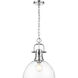 Yep Duncan 1 Light 14 inch Chrome Pendant Ceiling Light in Clear Glass