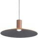 Faroe LED 19.5 inch Coffee/Black Pendant Ceiling Light
