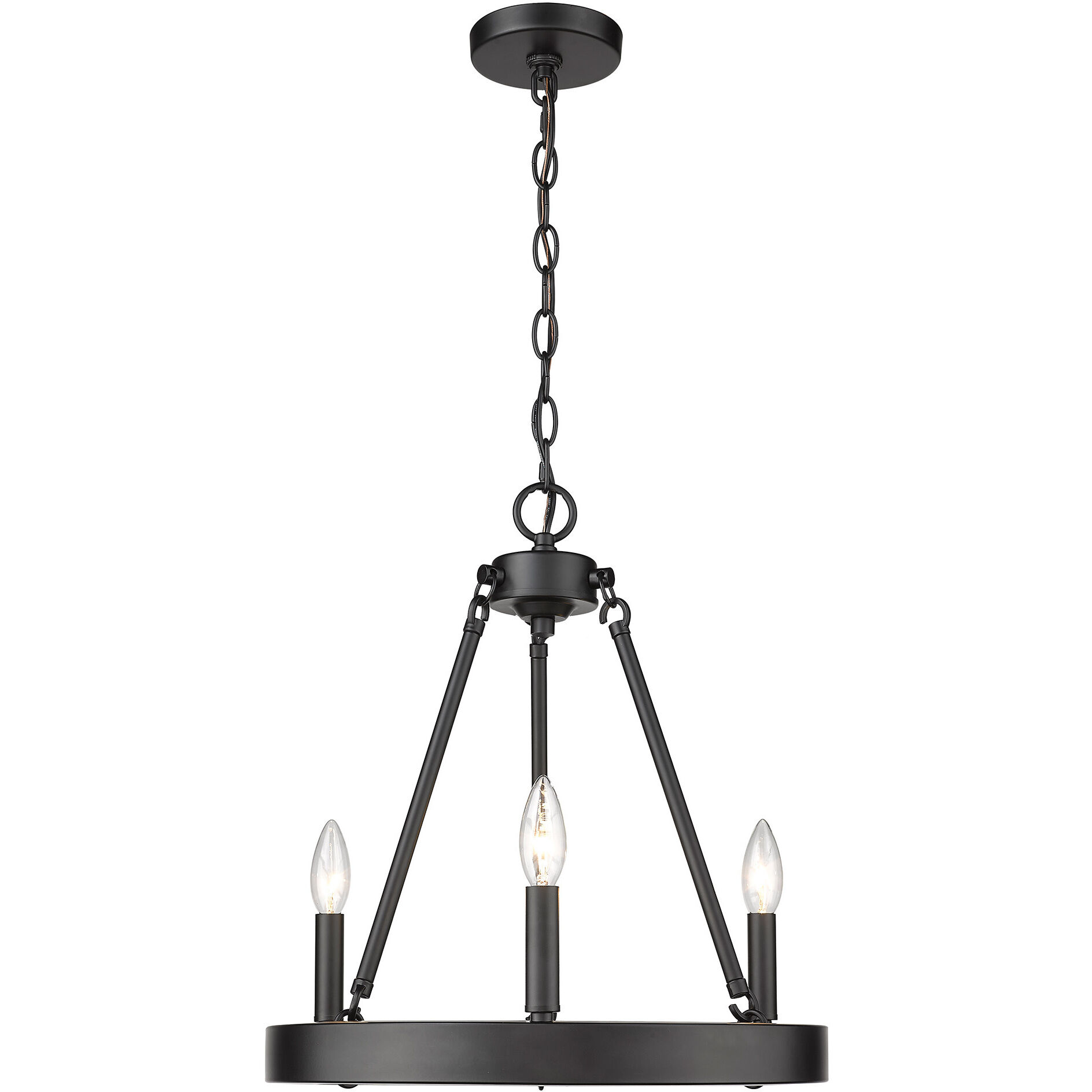Alastair 16 inch 60.00 watt Matte Black Chandelier Ceiling Light
