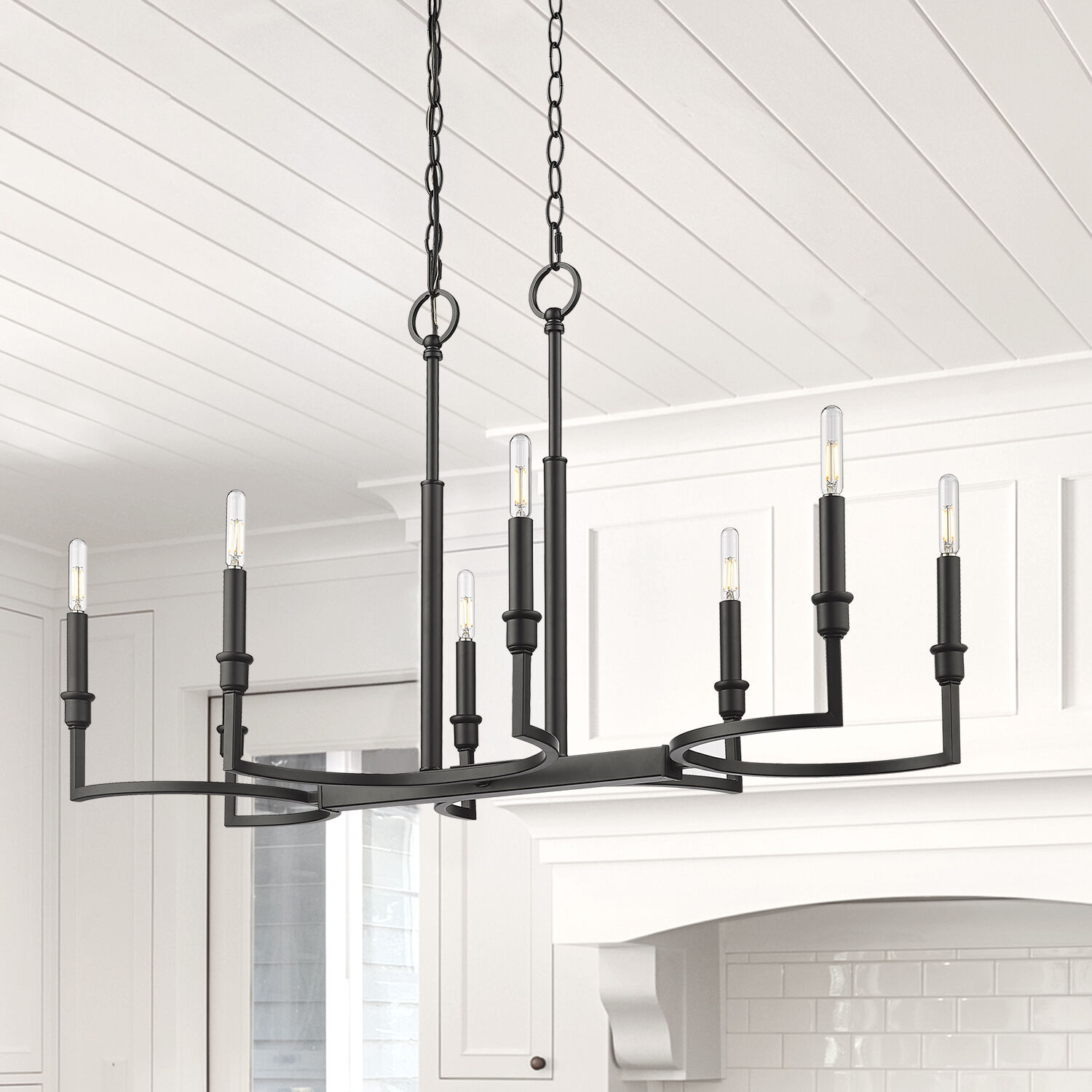 Ellyn Island Light Ceiling Light in Matte Black