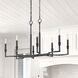 Ellyn Island Light Ceiling Light in Matte Black