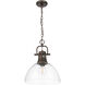Yep Duncan 1 Light 14 inch Rubbed Bronze Pendant Ceiling Light in Clear Glass