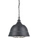 Bartlett 2 Light 16.5 inch Black Patina Pendant Ceiling Light, Large
