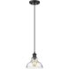 Yep Carver Pendant Ceiling Light in Matte Black, Clear Glass, Small