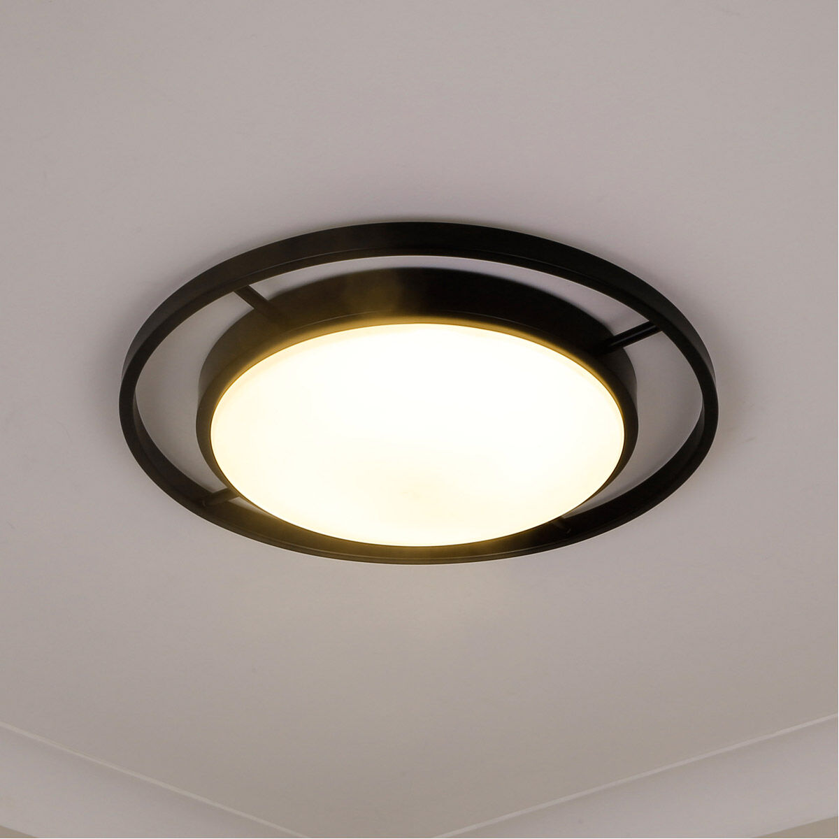 Oyster lights online on sale