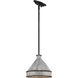 Jasper 1 Light 9.88 inch Antique Black Iron Pendant Ceiling Light