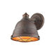 Bartlett 1 Light 9 inch Copper Patina Wall Sconce Wall Light, Damp