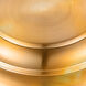 Ziva Aurora LED 23.5 inch Brushed Champagne Pendant Ceiling Light
