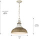 Kinsley 1 Light 14 inch Aged Galvanized Steel Pendant Ceiling Light in Antique Rust, Large