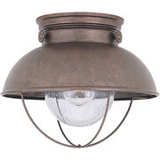 Outdoor Ceiling Lights