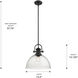 Yep Hines Pendant Ceiling Light in Matte Black, Seeded Glass, Large