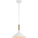 Journey 1 Light 12 inch Natural White Pendant Ceiling Light