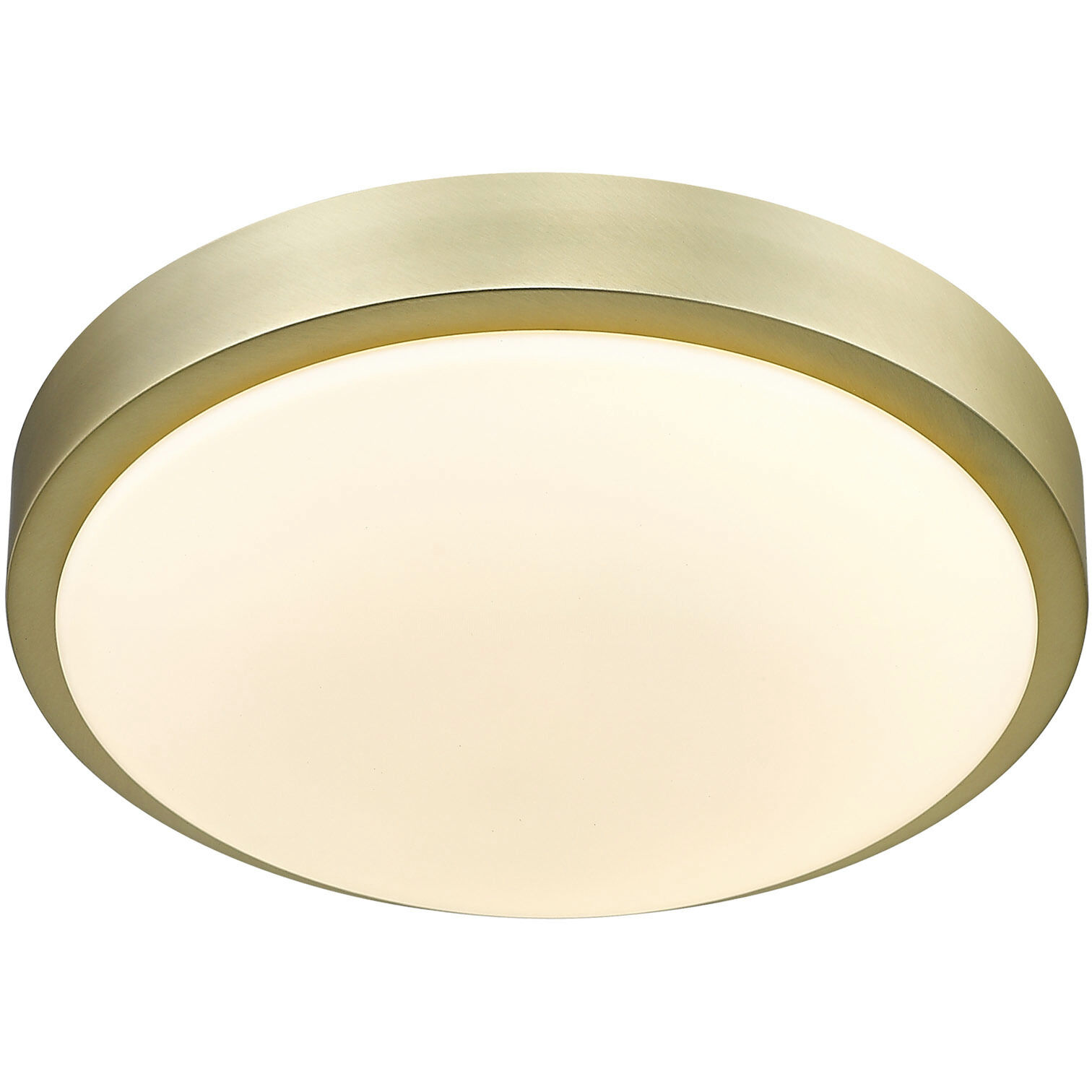 Gabi LED 10 inch Brushed Champagne Brass Flush Mount Ceiling Light