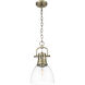 Yep Duncan 1 Light 8.88 inch Aged Brass Pendant Ceiling Light in Clear Glass
