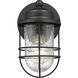 Seaport 1 Light 9.25 inch Natural Black Outdoor Wall