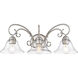 Homestead 3 Light 24 inch Pewter Bath Vanity Wall Light in Clear Glass