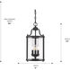 Payton 3 Light 9 inch Matte Black Pendant Ceiling Light, Caged