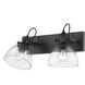 Yep Hines Vanity Wall Light in Matte Black, Seeded Glass